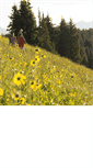 Mobile Screenshot of evergreenvail.com